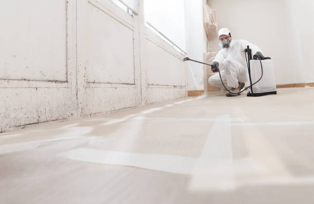 24/7 Emergency Black Mold Remediation experts in Pittsboro, NC