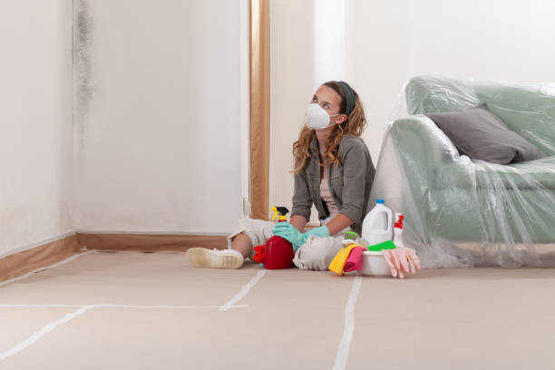 Reliable Black Mold Remediation contractor in Pittsboro, NC by 24 Hour Mold Removal